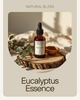 Eucalyptus Essential Oil 10ml